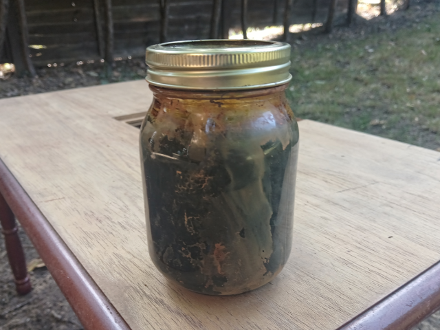 Image shows a jar of brown liquid Oak Burnish, on a small wooden table in a garden
