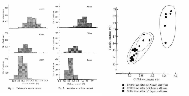 Image shows three graphs denoting the tannin and caffeine content of various tea cultivars